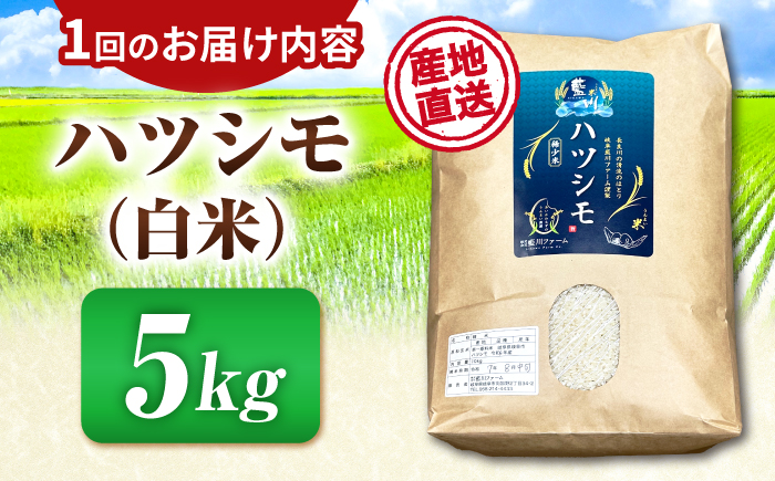 【6回定期便】【令和7年度産】岐阜県産米ハツシモ(藍の燈)5kg ハツシモ 白米 精米 米　岐阜市 / 藍川ファーム [ANHI004]