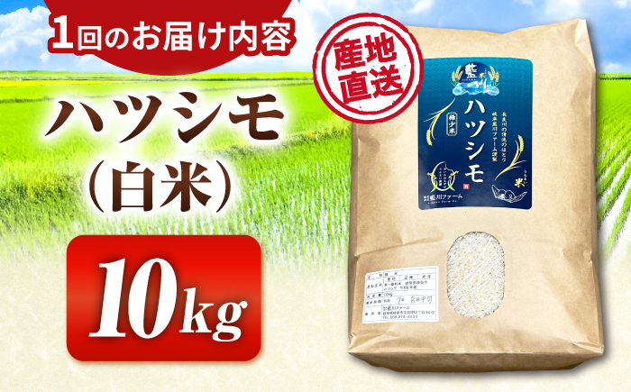 【3回定期便】【令和7年度産】岐阜県産米ハツシモ(藍の燈)10kg ハツシモ 白米 精米 米　岐阜市 / 藍川ファーム [ANHI005]