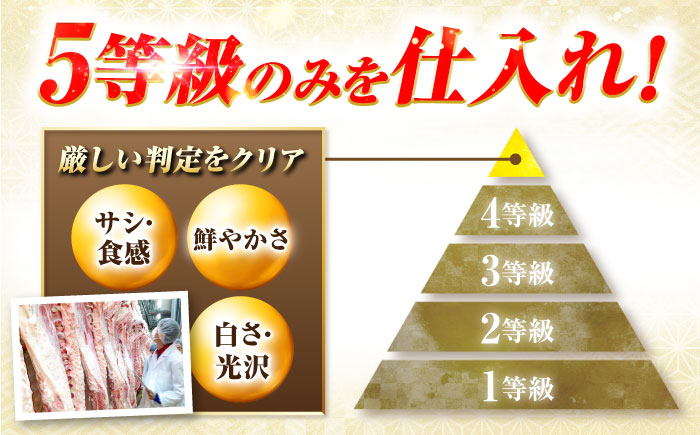 飛騨牛 A5等級 ヒレステーキ 200g×1枚 ステーキ 最高級 A5 和牛 ヒレ フィレ 希少部位 牛肉 お肉 高級 贈答ギフト 岐阜市 / 肉の松久 [ANIP017]