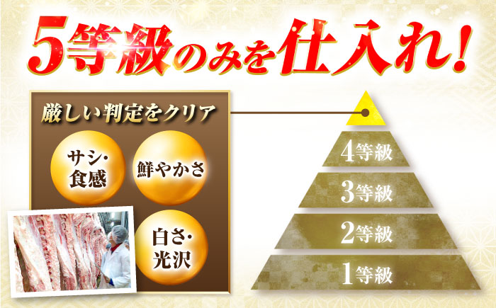 飛騨牛 A5等級 シャトーブリアンステーキ 200g×1枚 シャトー シャトーブリアン ステーキ 最高級 A5 和牛 ヒレ フィレ 希少部位 牛肉 お肉 高級 贈答ギフト 岐阜市 / 肉の松久 [ANIP019]