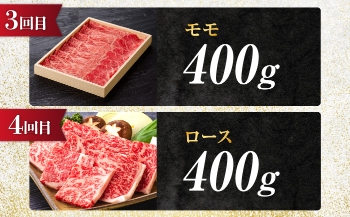 【5回定期便】飛騨牛 食べつくし 厳選セレクト定期便 サーロイン ロース モモ 切り落とし ステーキ すきやき しゃぶしゃぶ 国産 和牛 岐阜県 岐阜市/だるまミート [ANBE001]