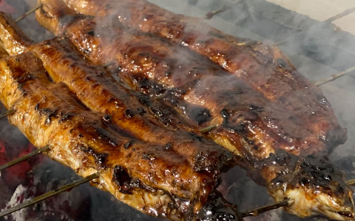 【全6回定期便】　国産うなぎの長焼き 鰻 たれ 肉厚 岐阜市 / 本格炭焼うな吉 [ANHH003]