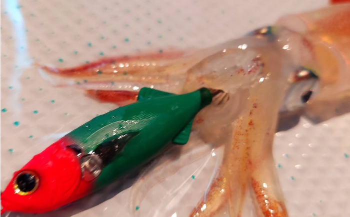 鯵助60mm4点アソートセット 釣具 釣り用品 海釣り 岐阜市 / ジークラック [ANIG004]