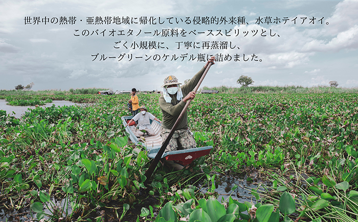 MAWSIM GIN TROPICAL CITRUSMAWSIM （マウシム ジン トロピカルシトラス） 酒 ジン 蒸留酒 岐阜市 / 株式会社サンウエスパ [ANIL002]