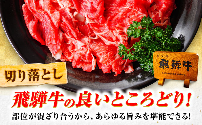 飛騨牛 A5等級 切り落とし 1kg 切り落とし肉 切りおとし 最高級 a5 A5 牛 和牛 牛肉 お肉 高級 贈答ギフト 岐阜市 / 肉の松久 [ANIP002]