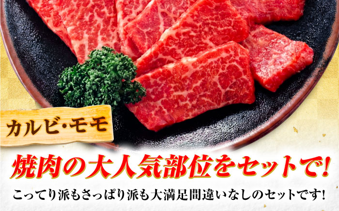 飛騨牛 A5等級 焼肉用 カルビ・モモ 1kg カルビ カルビ焼肉 カルビ肉 もも肉 焼肉 焼き肉 やきにく 焼肉セット 焼肉用 赤身 最高級 a5 A5 牛 和牛 牛肉 お肉 高級 贈答ギフト 岐阜市 / 肉の松久 [ANIP004]