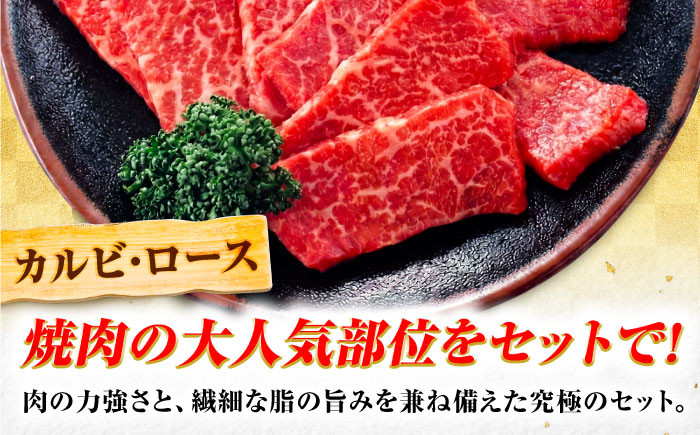 飛騨牛 A5等級 焼肉用 カルビ・ロース 500g カルビ カルビ焼肉 カルビ肉 ロース 焼肉 焼き肉 やきにく 焼肉セット 焼肉用 赤身 最高級 a5 A5 牛 和牛 牛肉 お肉 高級 贈答ギフト 岐阜市 / 肉の松久 [ANIP005]