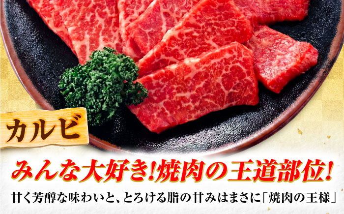 飛騨牛 A5等級 焼肉用 カルビ 1kg カルビ カルビ焼肉 カルビ肉 焼肉 焼き肉 やきにく 焼肉セット 焼肉用 最高級 a5 A5 牛 和牛 牛肉 お肉 高級 贈答ギフト 岐阜市 / 肉の松久 [ANIP008]
