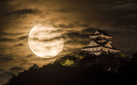 岐阜 長良川温泉宿泊クーポン券（100,000円分） 補助券 観光 トラベル 岐阜市/岐阜長良川温泉旅館協同組合 [ANAF005]
