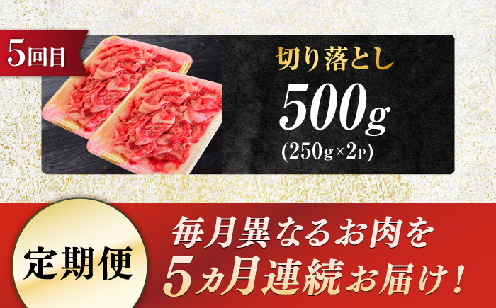 【5回定期便】飛騨牛 食べつくし 厳選セレクト定期便 サーロイン ロース モモ 切り落とし ステーキ すきやき しゃぶしゃぶ 国産 和牛 岐阜県 岐阜市/だるまミート [ANBE001]