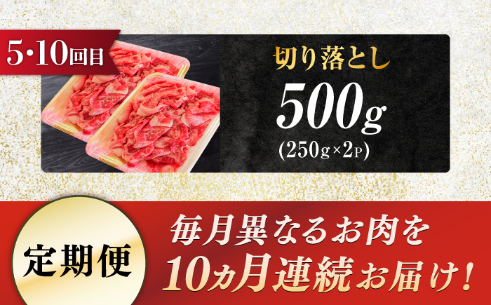 【10回定期便】飛騨牛 食べつくし 厳選セレクト定期便 サーロイン ロース モモ 切り落とし ステーキ すきやき しゃぶしゃぶ 国産 和牛 岐阜県 岐阜市/だるまミート [ANBE002]