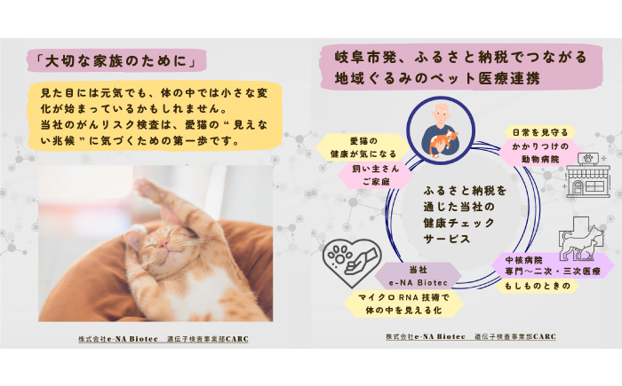 ネコ がんリスク検査【大切な家族のために】 ペット 検査キット 早期発見 岐阜市 / 株式会社e-NA Biotec [ANHE001]