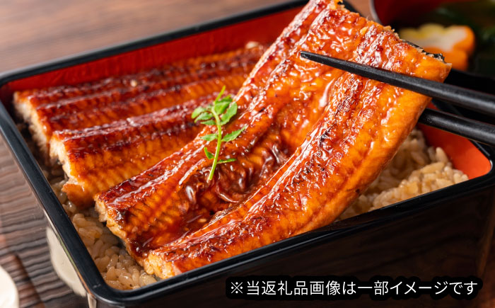 国産うなぎの長焼き 1尾 鰻 たれ 肉厚 岐阜市 / 本格炭焼うな吉 [ANHH001]