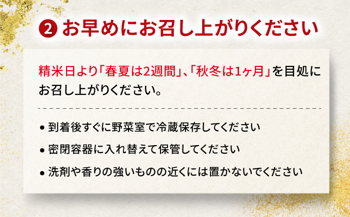 【3回定期便】【令和7年度産】岐阜県産米ハツシモ(藍の燈)10kg ハツシモ 白米 精米 米　岐阜市 / 藍川ファーム [ANHI005]