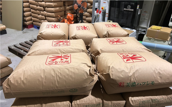 令和7年産 ハツシモ 玄米 5kg 腸活 ヘルシー 米 ブランド米 岐阜市 / 川瀬ファーム [ANIB003]