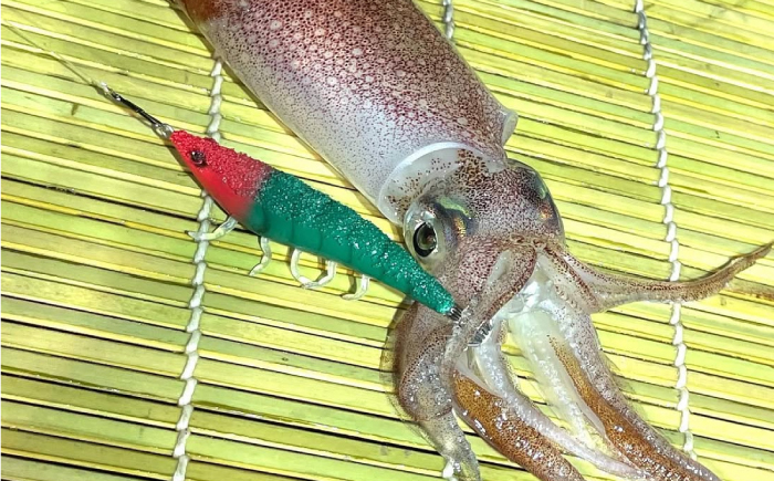 海老助68mm（ラトルモデル）4点アソートセット 釣具 釣り用品 海釣り 岐阜市 / ジークラック [ANIG006]