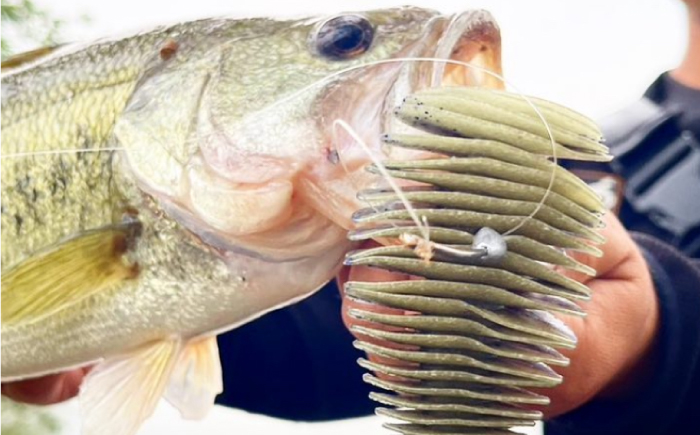 ベローズギル3.8inch 5点アソートセット 釣具 釣り用品 海釣り 岐阜市 / ジークラック [ANIG010]