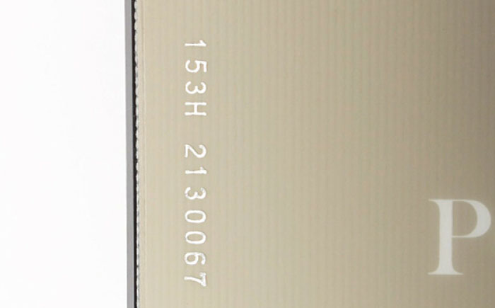 VISIONPEAKS　フリースタイルスノーボード：POWHOLIC 岐阜市 / ヒマラヤ [ANIN005]