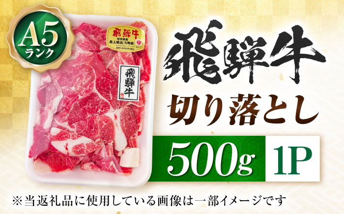 飛騨牛 A5等級 切り落とし 500g 切り落とし肉 切りおとし 最高級 a5 A5 牛 和牛 牛肉 お肉 高級 贈答ギフト 岐阜市 / 肉の松久 [ANIP001]