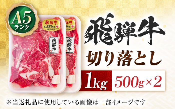 飛騨牛 A5等級 切り落とし 1kg 切り落とし肉 切りおとし 最高級 a5 A5 牛 和牛 牛肉 お肉 高級 贈答ギフト 岐阜市 / 肉の松久 [ANIP002]
