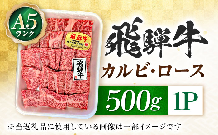 飛騨牛 A5等級 焼肉用 カルビ・ロース 500g カルビ カルビ焼肉 カルビ肉 ロース 焼肉 焼き肉 やきにく 焼肉セット 焼肉用 赤身 最高級 a5 A5 牛 和牛 牛肉 お肉 高級 贈答ギフト 岐阜市 / 肉の松久 [ANIP005]