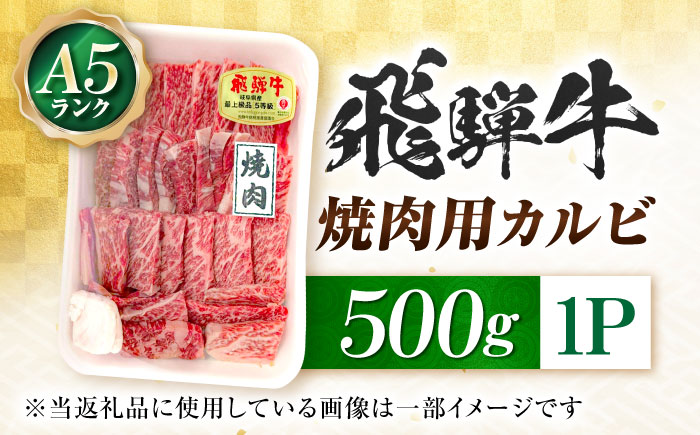 飛騨牛 A5等級 焼肉用 カルビ 500g カルビ カルビ焼肉 カルビ肉 焼肉 焼き肉 やきにく 焼肉セット 焼肉用 最高級 a5 A5 牛 和牛 牛肉 お肉 高級 贈答ギフト 岐阜市 / 肉の松久 [ANIP007]