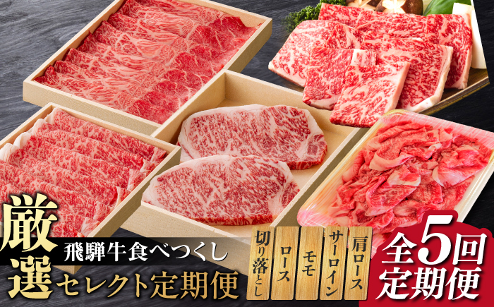【5回定期便】飛騨牛 食べつくし 厳選セレクト定期便 サーロイン ロース モモ 切り落とし ステーキ すきやき しゃぶしゃぶ 国産 和牛 岐阜県 岐阜市/だるまミート [ANBE001]