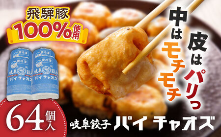 岐阜餃子64個入り（パイチャオズ） ぎょうざ 冷凍餃子 お取り寄せ 岐阜市 / MABUCHIKOGYO [ANEY001]