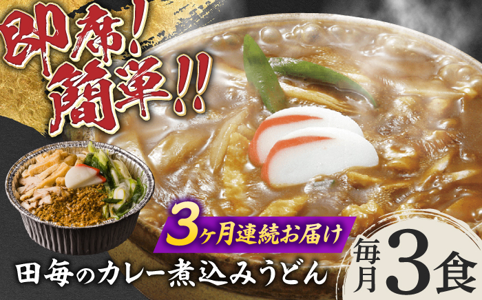 【3回定期便】岐阜の味 田毎のカレー煮込みうどんセット 即席 カンタン 麺　岐阜市 / ラボレムス [ANFP006]