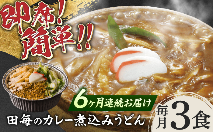 【6回定期便】岐阜の味 田毎のカレー煮込みうどんセット 即席 カンタン 麺　岐阜市 / ラボレムス [ANFP007]