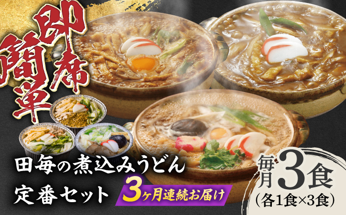 【3回定期便】岐阜の味 田毎の煮込みうどん定番セット 即席 カンタン 麺　岐阜市 / ラボレムス [ANFP010]