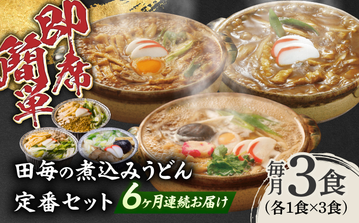 【6回定期便】岐阜の味 田毎の煮込みうどん定番セット 即席 カンタン 麺　岐阜市 / ラボレムス [ANFP011]