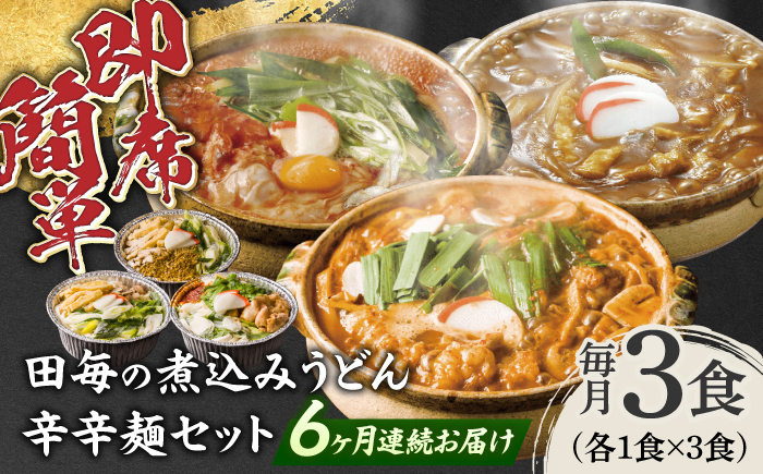 【6回定期便】岐阜の味 田毎の煮込みうどん辛辛麺セット 即席 カンタン 麺　岐阜市 / ラボレムス [ANFP013]