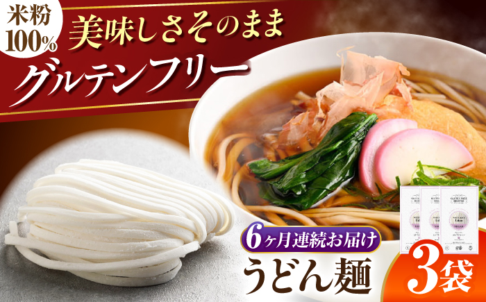 【6回定期便】 【グルテンフリー】 力強いコシを楽しむ！ 米粉うどん うどん グルテンフリー 米粉 岐阜市 / 小林生麺 [ANGM023]