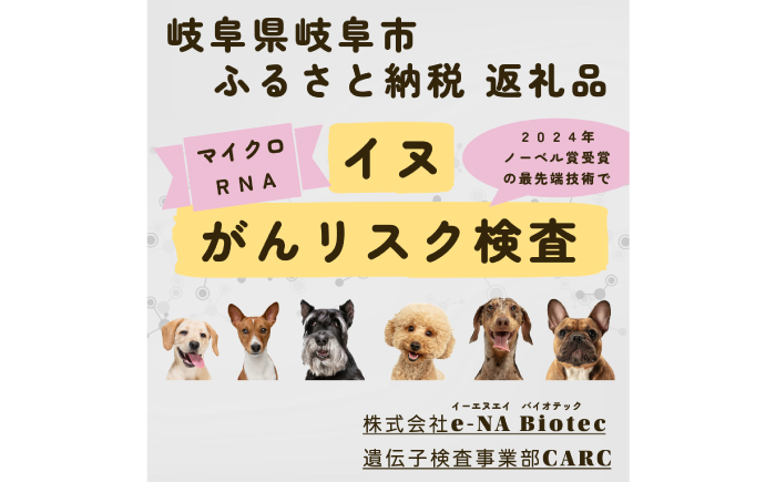 イヌ がんリスク検査【大切な家族のために】?ペット 検査キット 早期発見 岐阜市 / 株式会社e-NA Biotec [ANHE002]
