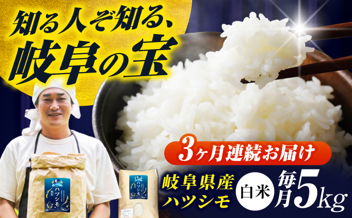 【3回定期便】【令和7年度産】岐阜県産米ハツシモ(藍の燈)5kg ハツシモ 白米 精米 米　岐阜市 / 藍川ファーム [ANHI003]