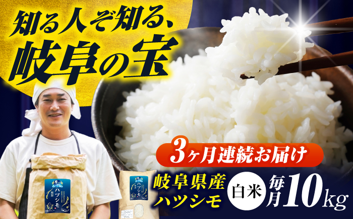 【3回定期便】【令和7年度産】岐阜県産米ハツシモ(藍の燈)10kg ハツシモ 白米 精米 米　岐阜市 / 藍川ファーム [ANHI005]
