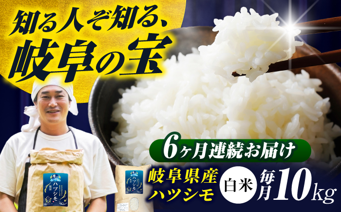 【6回定期便】【令和7年度産】岐阜県産米ハツシモ(藍の燈)10kg ハツシモ 白米 精米 米 岐阜市 / 藍川ファーム [ANHI006]