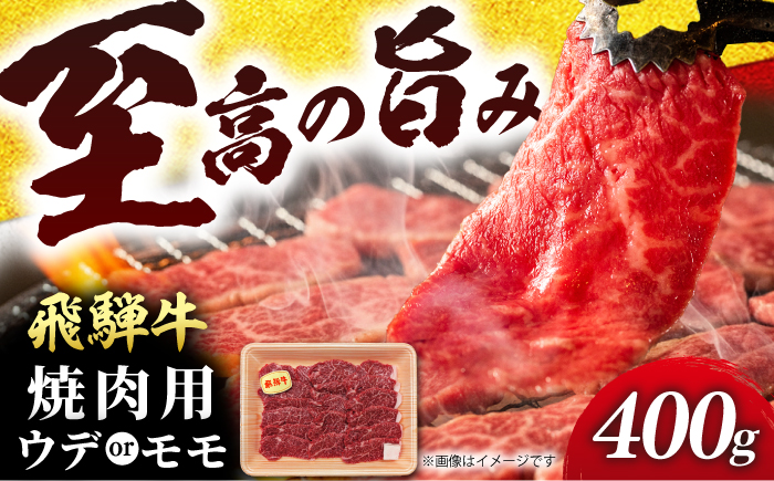飛騨牛 うまさ広がる赤身焼肉用 ウデ又はモモ400g （冷凍） 牛肉 肉 ブランド肉 岐阜市 / 羊Diningひとみしり [ANIF002]