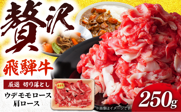 飛騨牛 厳選切り落とし250g（ウデ モモ ロース 肩ロース）（冷凍） 牛肉 肉 ブランド肉 岐阜市 / 羊Diningひとみしり [ANIF005]