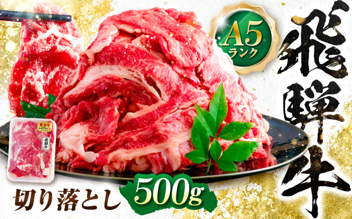 飛騨牛 A5等級 切り落とし 500g 切り落とし肉 切りおとし 最高級 a5 A5 牛 和牛 牛肉 お肉 高級 贈答ギフト 岐阜市 / 肉の松久 [ANIP001]
