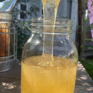 国産純粋はちみつ　くろがねもち蜂蜜　1200g