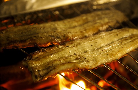 【うなぎ白焼き】老舗料亭の長焼（２尾）