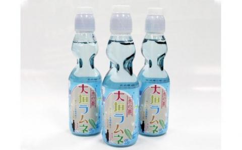 大垣ラムネ（200ｍｌ×24本）　自噴水を使用