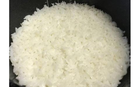 ＼新米お届け／令和7年産 新米 ハツシモ 10kg はつしも 食味ランキング 「特A」 受賞歴 東の ササニシキ 西の ハツシモ 初霜 コシヒカリ の先輩 大粒 ごはん ご飯 米 白米 お弁当 精米 お米 産地直送 産直 25000円 2万5千円 ふるさと物語 岐阜県 大垣市