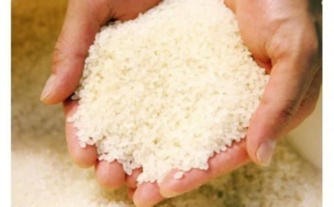 水の都 大垣米 ～わごうめぐみ米～ 5kg【特別栽培米レンゲハツシモ】 5kg