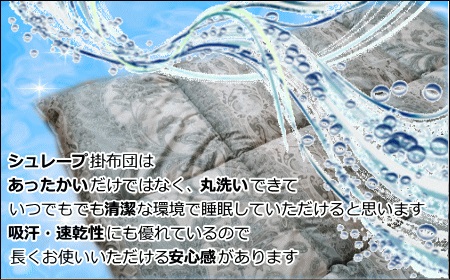 ≪選べるカラー≫【高級ホテル仕様】羽毛を超えた掛布団(SEK加工生地) ベージュ ベージュ