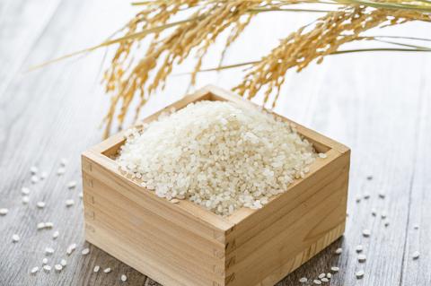 水の都 大垣米 ～わごうめぐみ米～ 10kg【特別栽培米レンゲハツシモ】 10kg