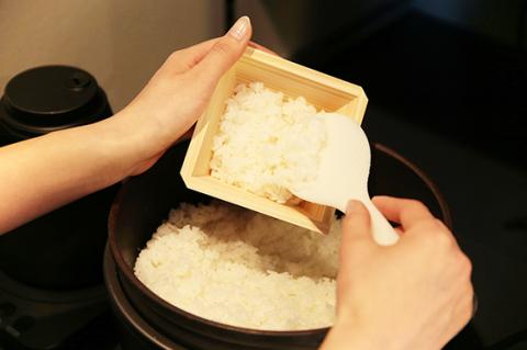 木製の冷凍ご飯容器　枡のおひつ「COBITSU」（こびつ）