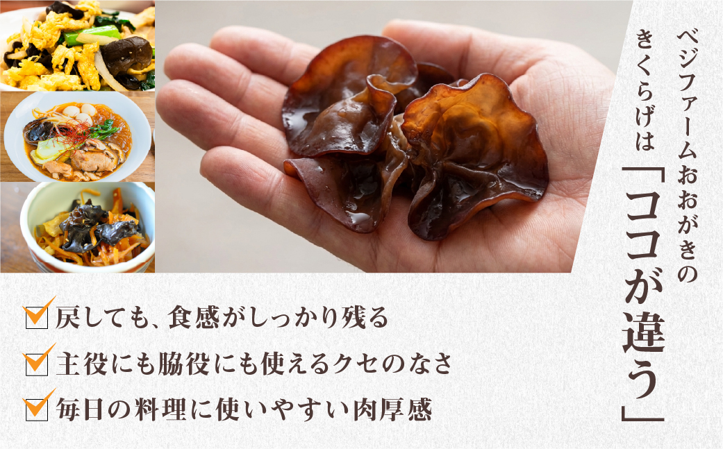 先行予約受付中 ＼ぷりっと、こりっと／超希少 乾燥きくらげ 黒 国産 100g 20g × 5袋 個包装 小分け きくらげ キクラゲ 木耳 乾燥 きのこ キノコ 保存 便利 産地直送 産直 野菜 農薬不使用 7000円 7千円 ベジファームおおがき ゼロックス 岐阜県 大垣市